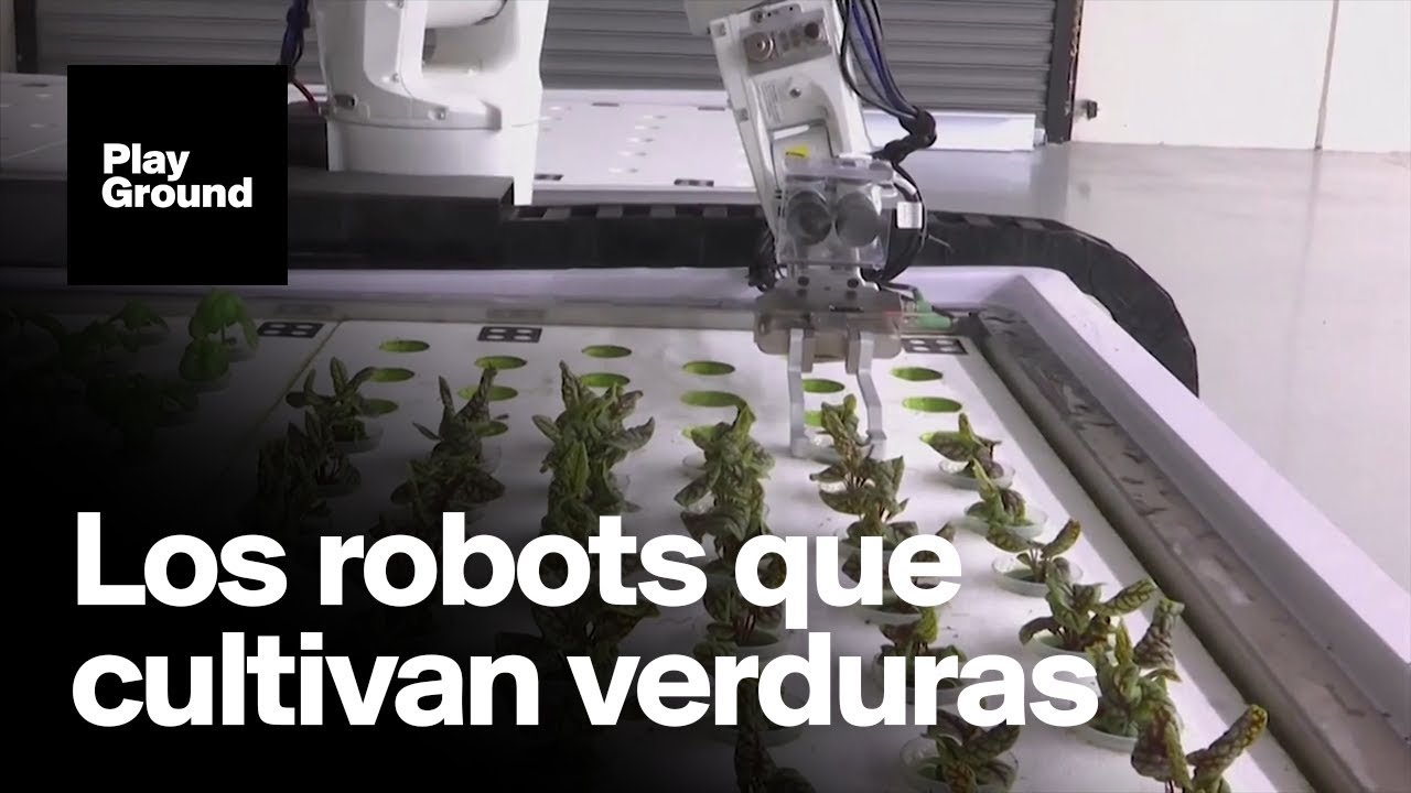 La agricultura biológica busca explotar la tierra de manera sostenible