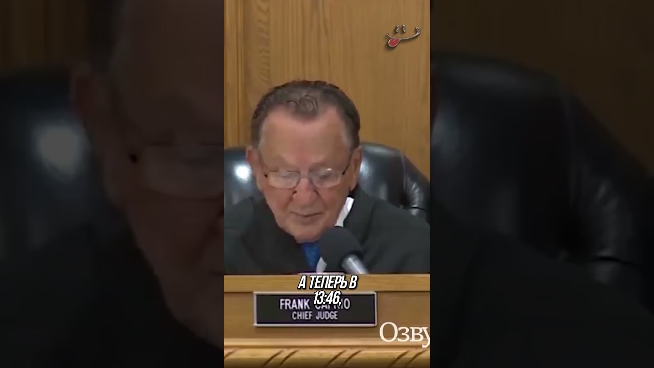 Не смотрите мои штрафы, я виновна!