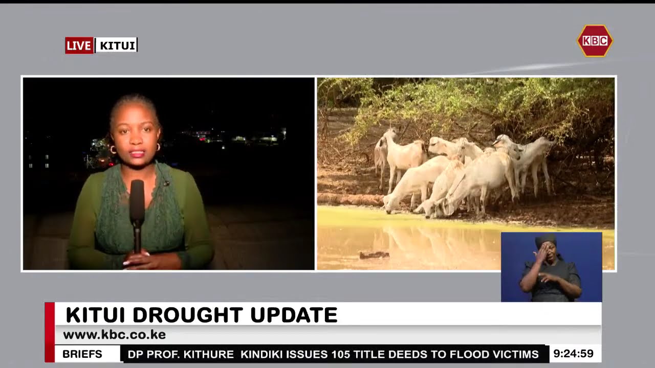The drought situation in Kitui County