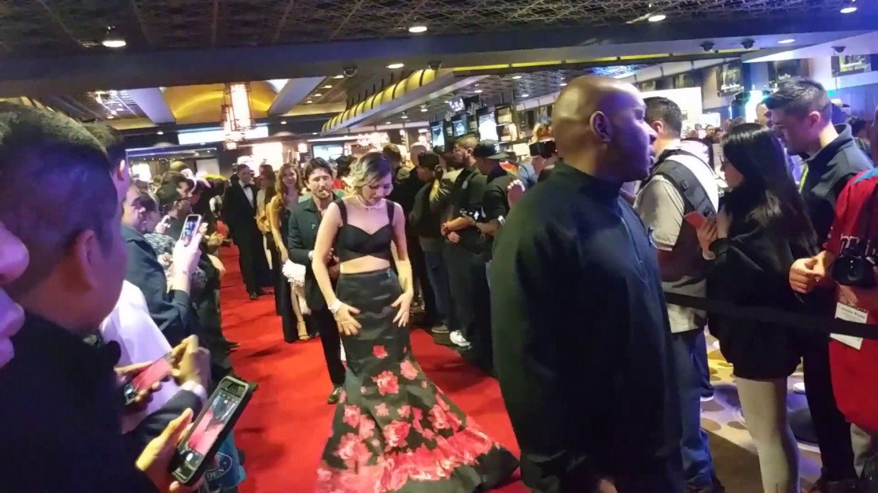 AVN AWARDS 2018 Red Carpet feat. Tommy Gunn Lena Paul Mandingo PJ Brown Joseline Kelly