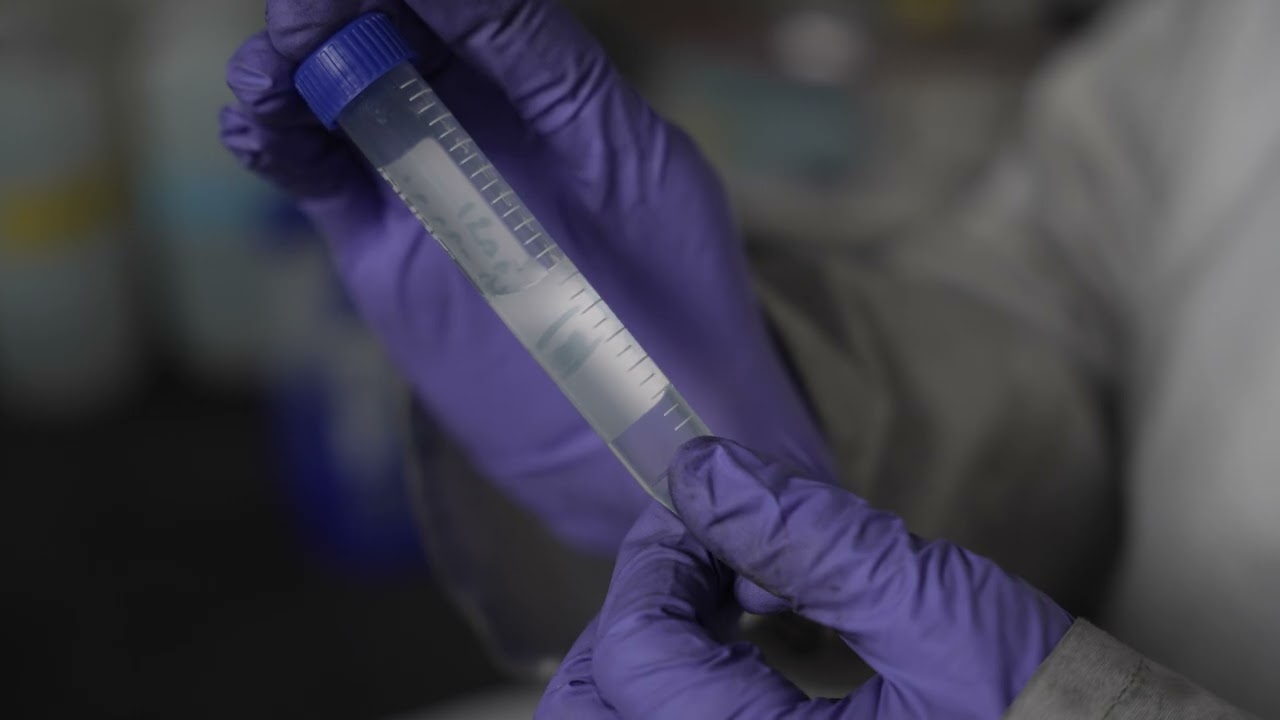 Rare earth elements await in waste