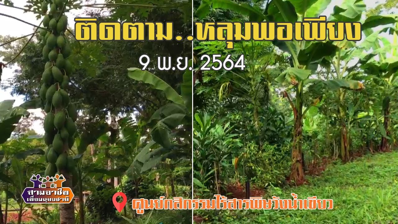 (9 พ.ย.2564) ติดตาม..