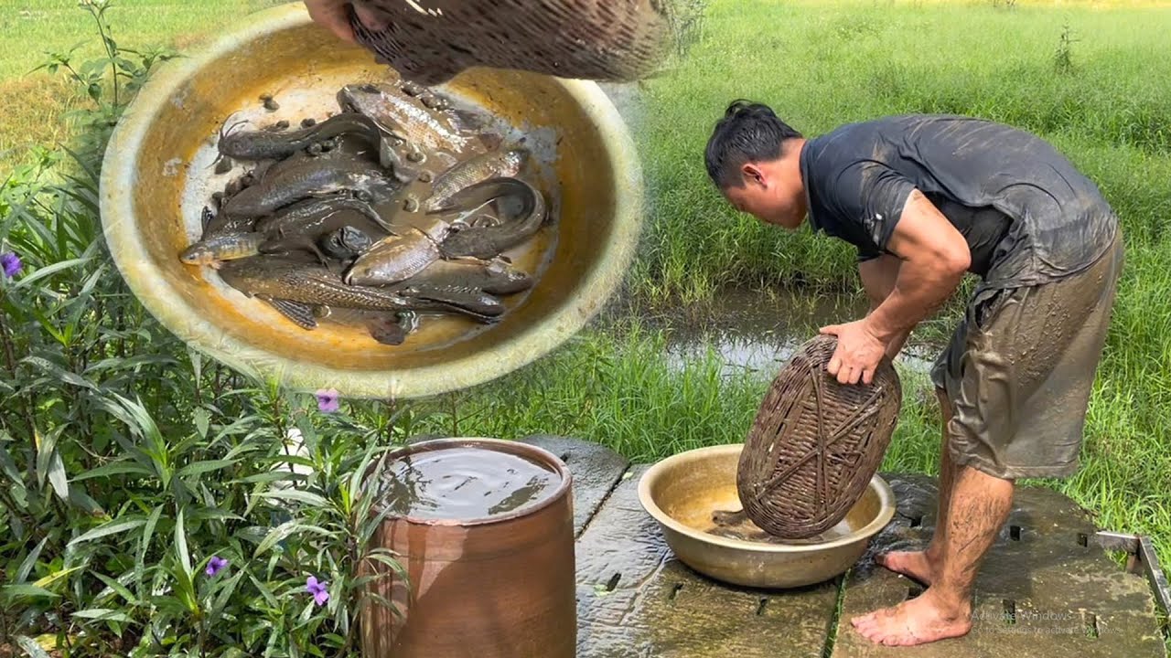 Cùng em Chế Ba Vì ra đồng BẮT CÁ nhé bà con! BÚN CÁ XÀO DƯA CHUA