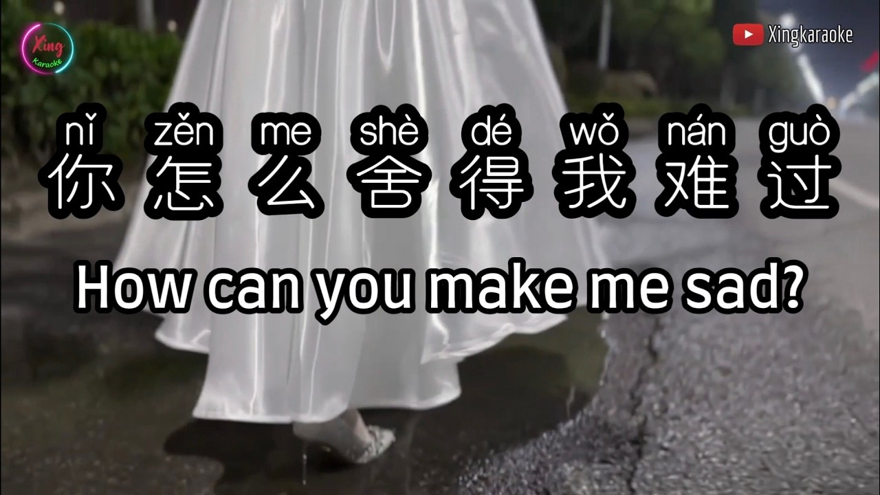 你怎么舍得我难过 Ni Zen Me She De Wo Nan Guo | Mandarin Song Cover [CC Subtitle]