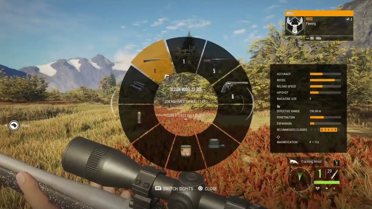 Big Surprise Moose*