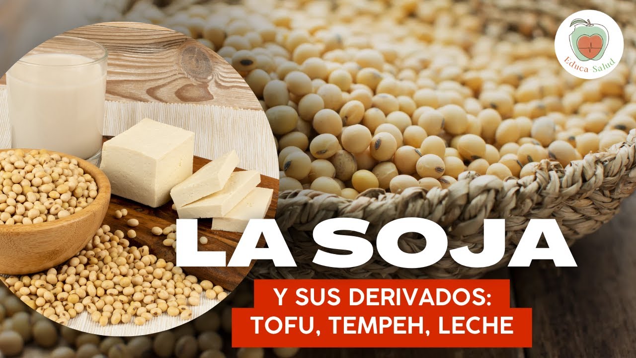 LA SOJA o SOYA y sus DERIVADOS: TOFU, TEMPEH, LECHE DE SOJA y TAMARI