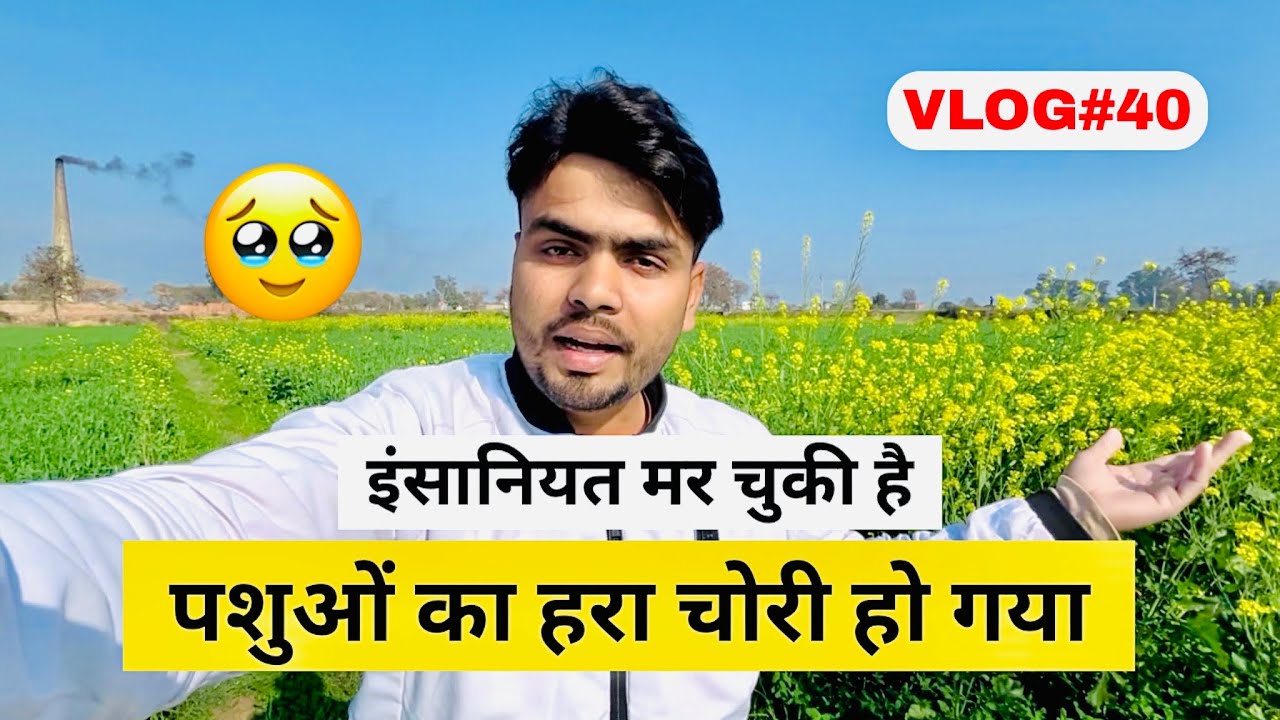 Insaniyat mar chuki hai 🥹 #vlog40 