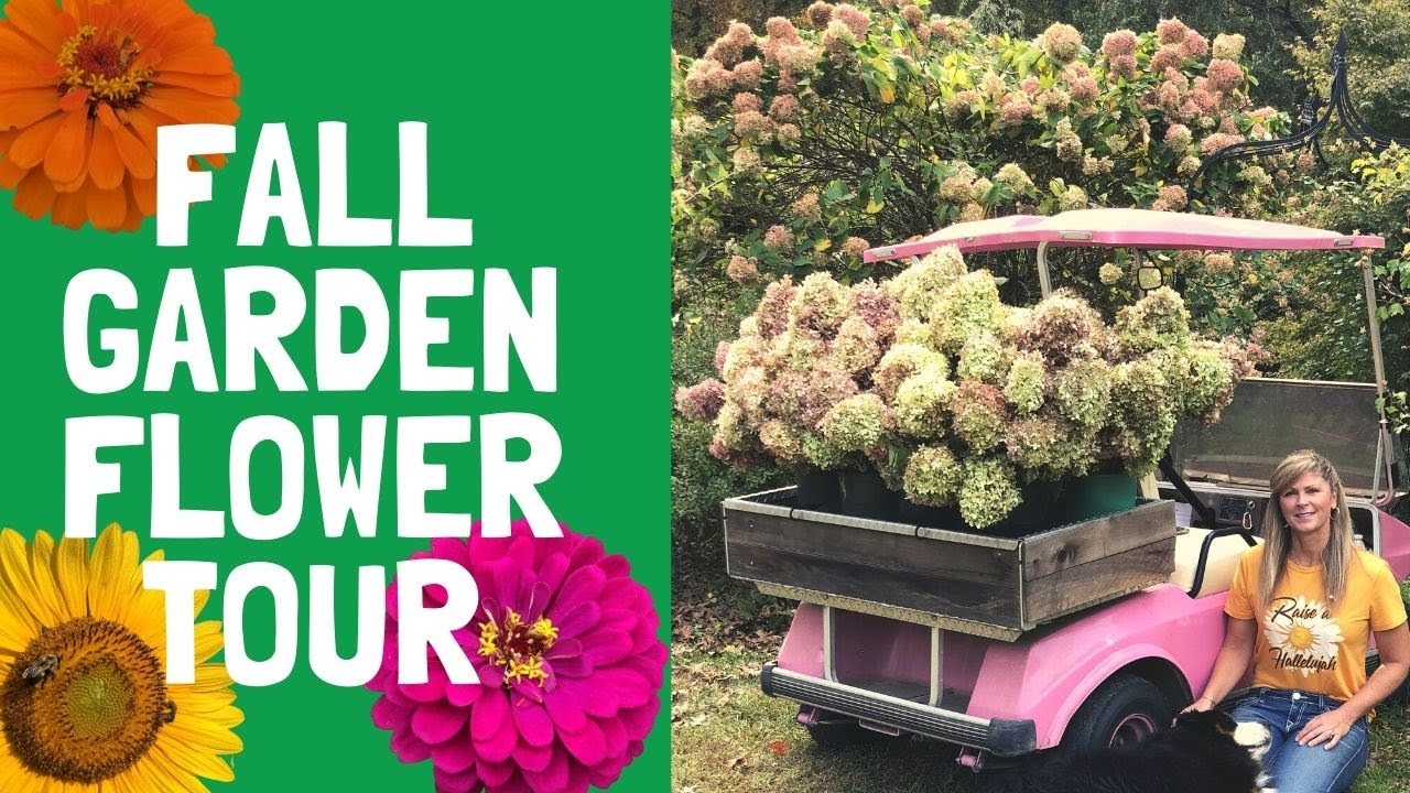 Fall Garden Flower Tour ( October )