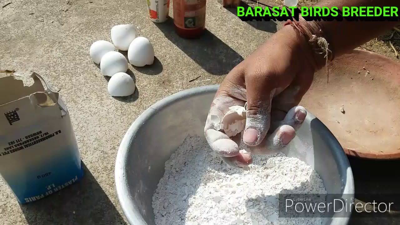 Calcium block making for birds.