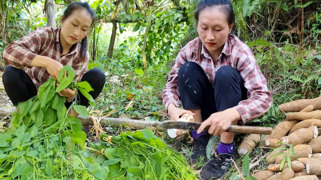 A Day of Harvesting Organic Vegetables and Sweet Potatoes, Followed by a Journey to the Local Market
