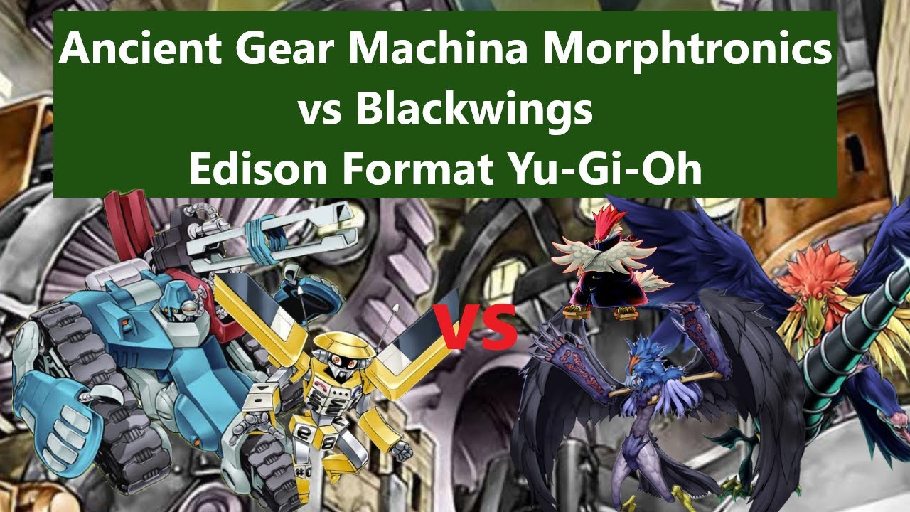 Ancient Gear Machina Morphtronics vs Blackwings | Edison Format Yugioh Duels