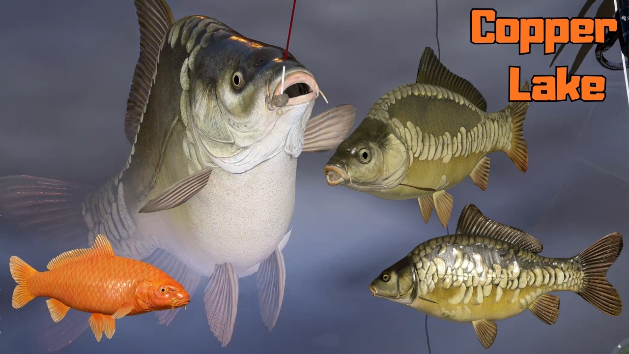 Dinks carp spot & config Copper Lake (140) | Russian Fishing 4 RF4