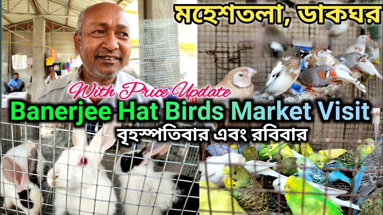 Banerjee Hat Birds Market Visit||KUILA For EVER