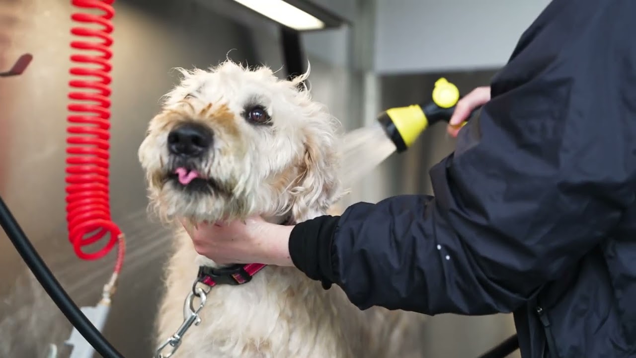 DSPCA | Water Stewardship| Uisce &Eacute;ireann