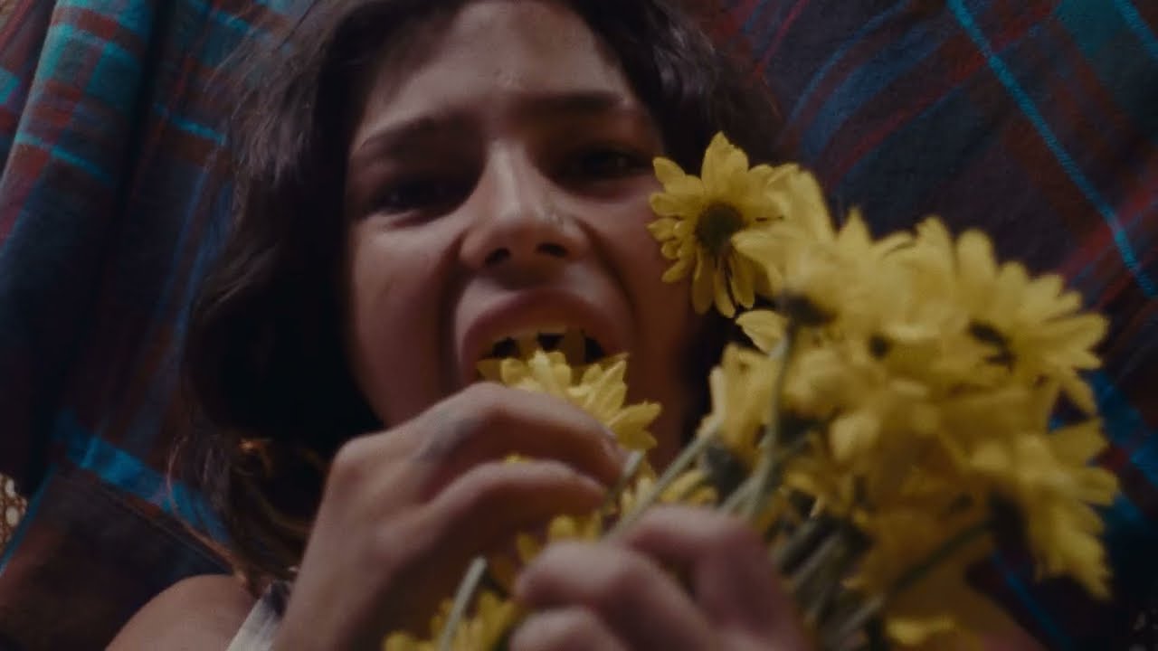 Margarita Siempre Viva - Depresión Post Paisaje (Video Oficial)