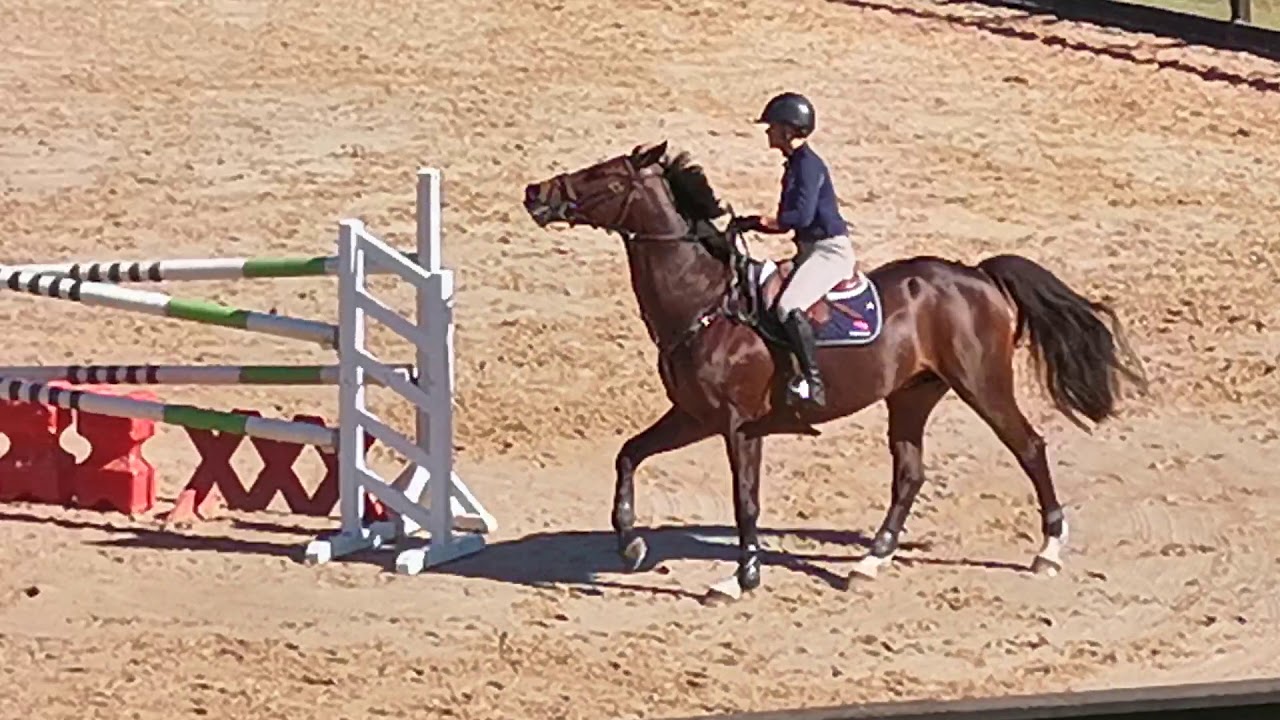 George Morris clinic at Yandoo Park day 3