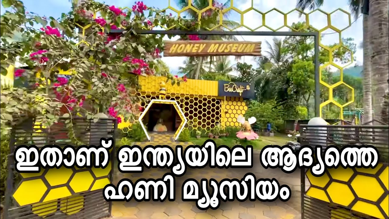 Honey Museum Wayanad | India's First Honey Museum | Tourist place wayanad | Vythiri | Kerala Tourism