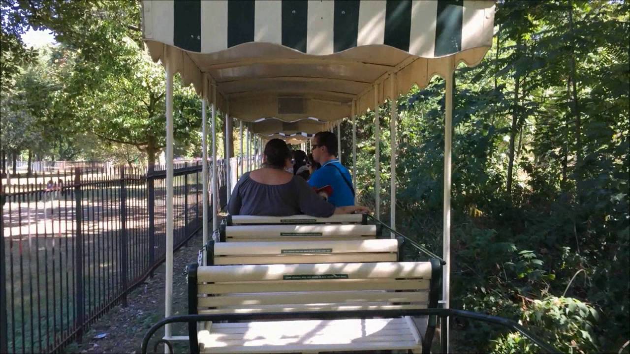 Le petit train du Jardin d’Acclimatation.