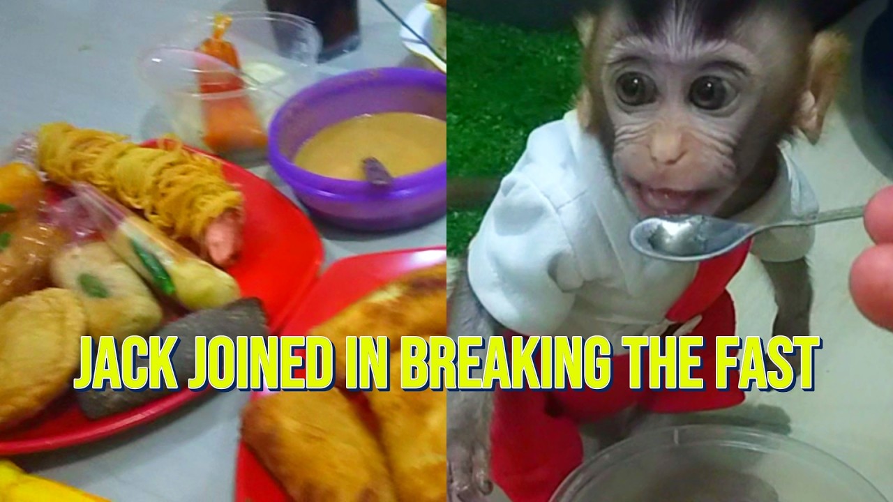 jack joined  in breaking the fast .#viral #trending #viralvideo #trendingvideo