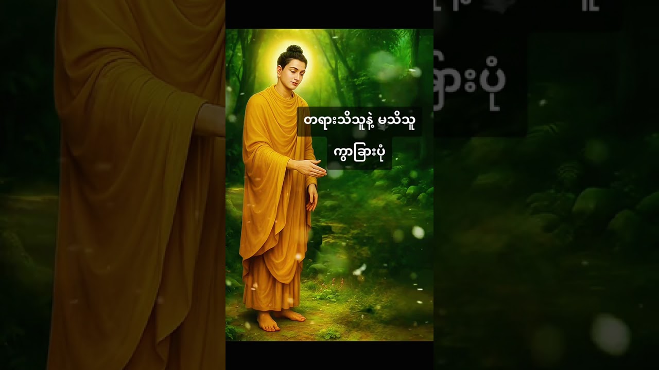 တရား​သိသူနဲ့ မသိသူ ကွာ​ခြားပုံ သစ္စာရွှေစည်ဆရာတော်#နာယူမှတ်သားနိုင်ကြပါစေ#တရားတော်များ#တရားတော်🙏🙏🙏
