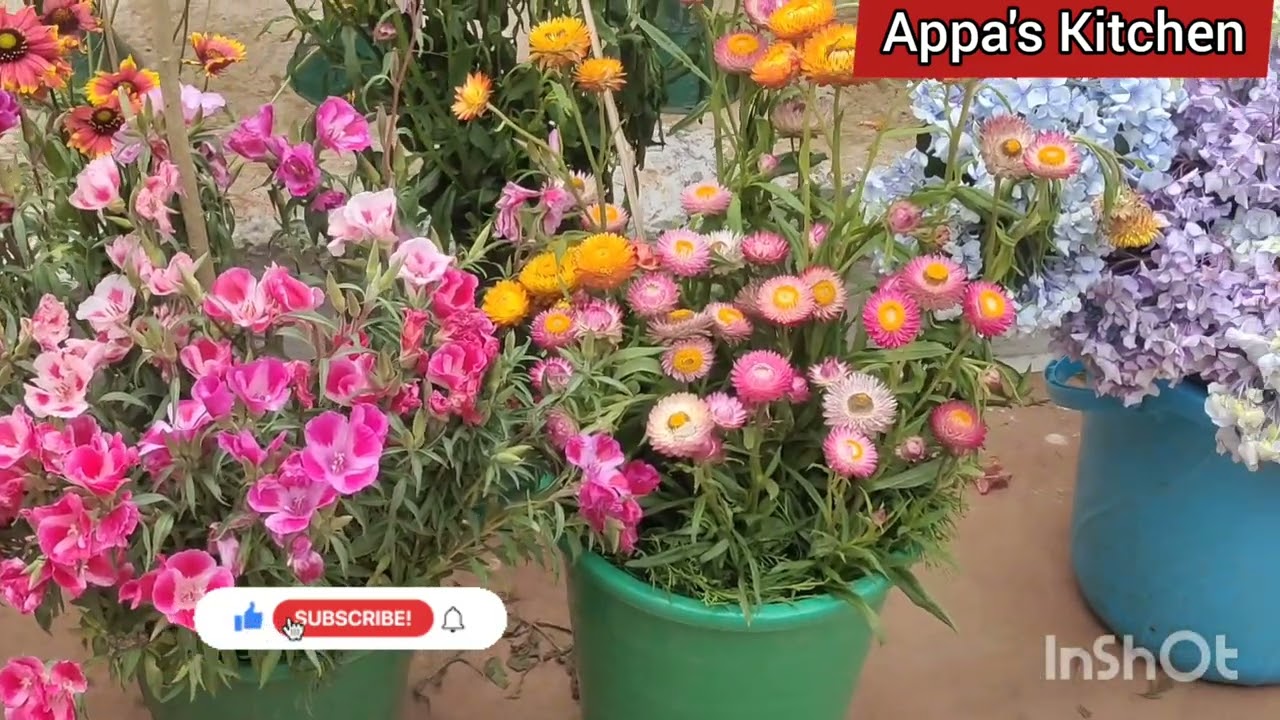 Ooty flower show 2022 | botanical garden | 124th Annual flower show@TheTNExplorer
