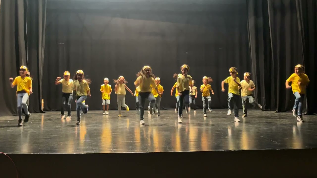 1ºB  MINIONS