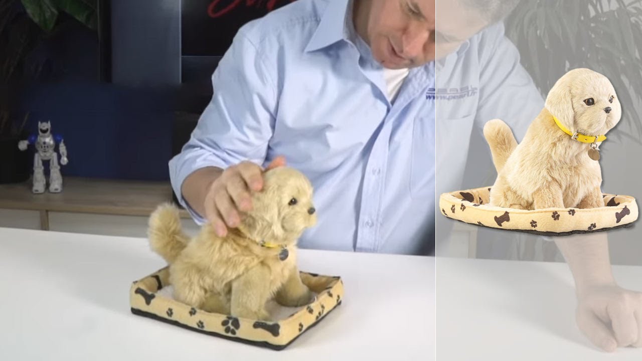 Le chien le plus mignon du monde ! Peluche interactive NX8969