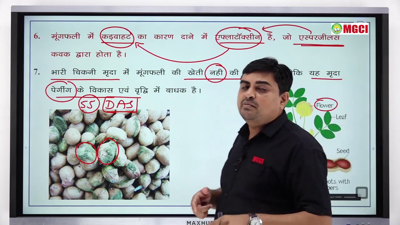 AGRONOMY | GROUNDNUT | RAEO | SADO | VYAPAM | MGCI INDORE | ARVIND SHARMA  SIR