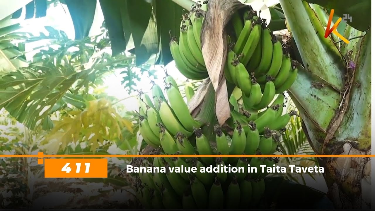 Дополнительная ценность бананов в Taita Taveta