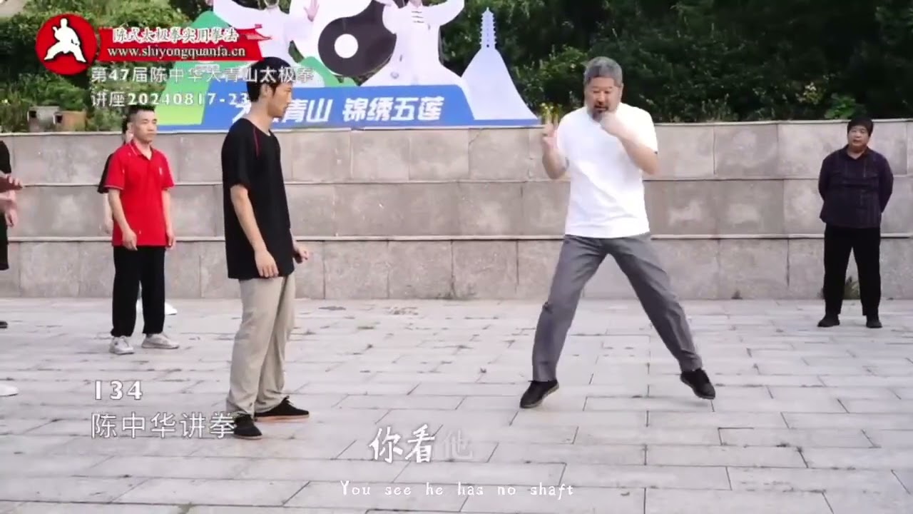 拨浪鼓劲儿 134 陈中华讲拳 47届大青山讲座20240817 23