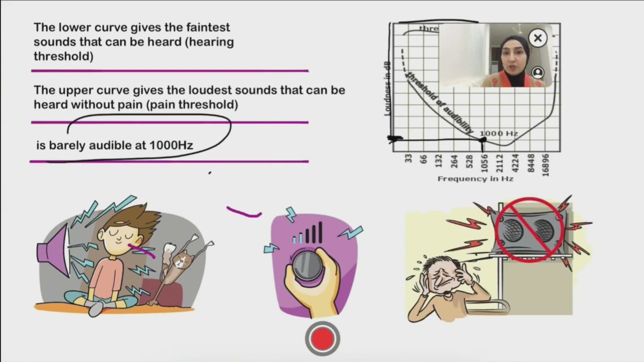 L2 sound p2 طب بابل مرحلة الأولى مادة الفيزياء الطبية