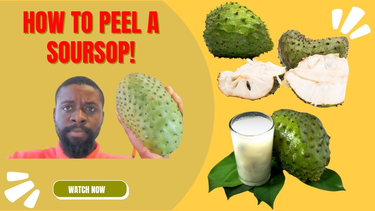 Unlocking Soursop's Secrets