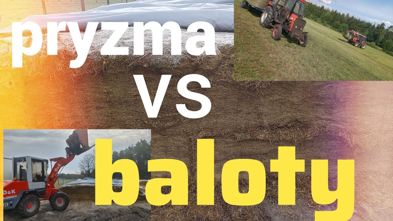 Wady robienia kiszonki z traw w pryzmy, nie jest tak kolorowo jak sie wydaje 😉