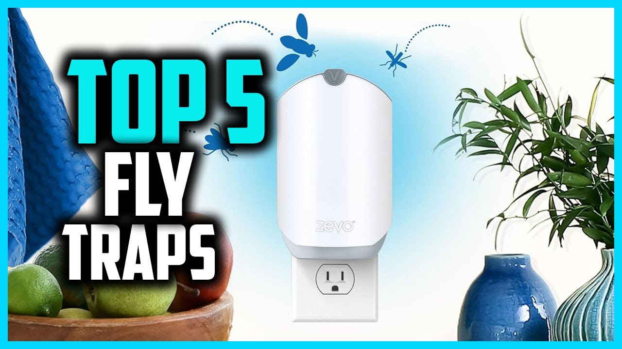 ✅Top 5 Best Fly Traps in 2026
