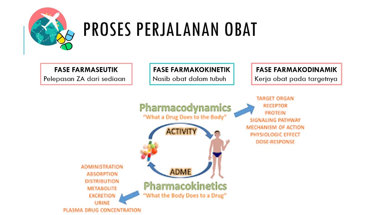 Pengantar Farmakologi Dasar - Part 2  I Farmakokinetik dan Farmakodinamik I  Proses ADME Obat