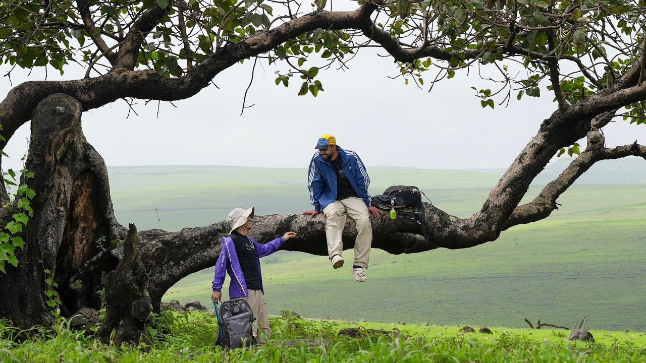 صلالة | سويسرا الخليج كما لم تعرفها من قبل | Salalah , Oman