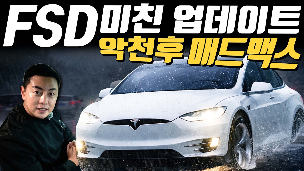 FSD 두번째 업데이트 미쳤다! 악천후에서 극한 속도까지 l 테슬라 모델 X FSD