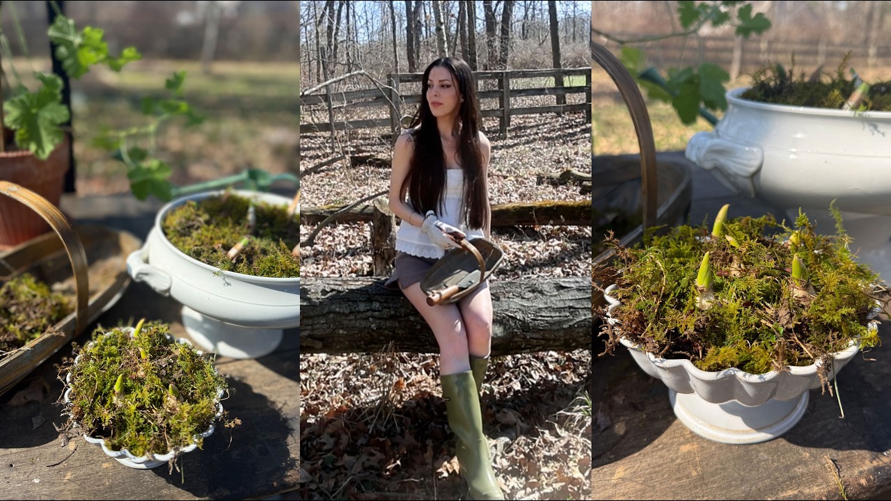 Cozy Slow Spring Days in the Countryside I Creating Bulb Arrangements I Local Farm Shop Finds