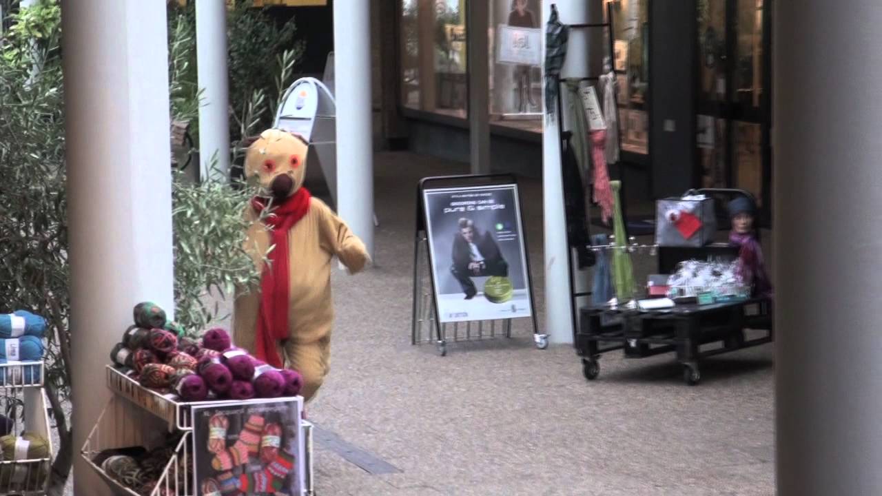 Kylling på afveje