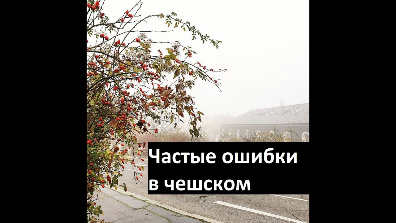 Частые ошибки в чешском #5