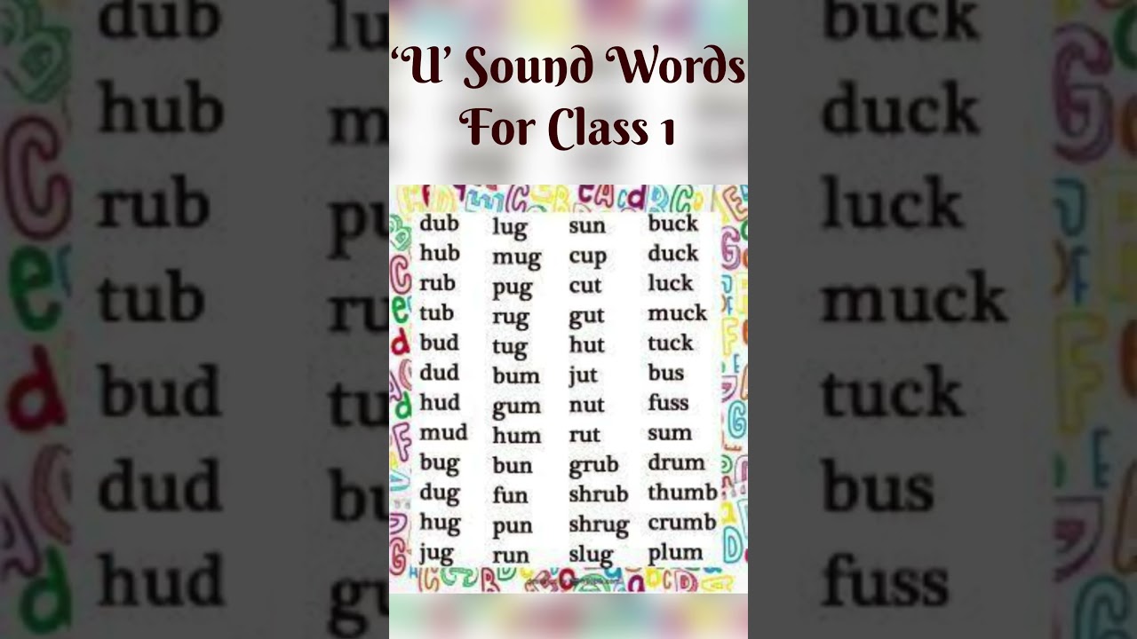 U Sound Words for Class 1 | Phonics Sounds #youtubeshorts #shortsvideo #viral #shorts #vowels