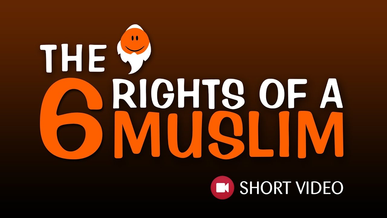 The 06 Rights Of A Muslim ᴴᴰ ┇ Short Video ┇ TDR Production ┇