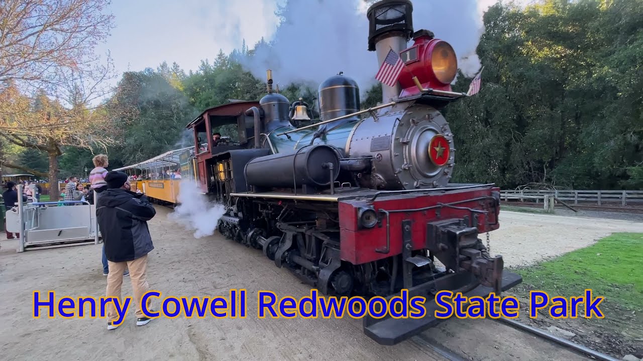 Henry Cowell Redwoods State Park, in the Santa Cruz Mountains