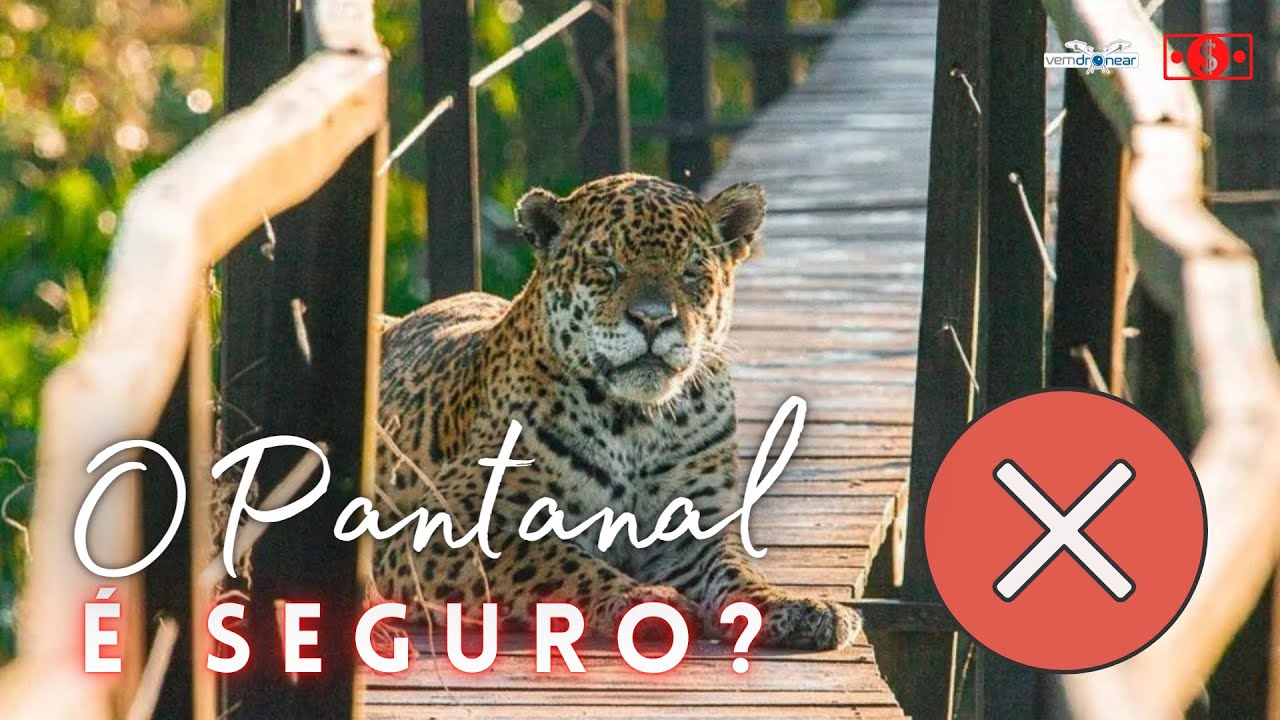 Como visitar o PANTANAL Sul-Matogrossense e todas as suas BELEZAS - Fazenda San Francisco #PANTANAL