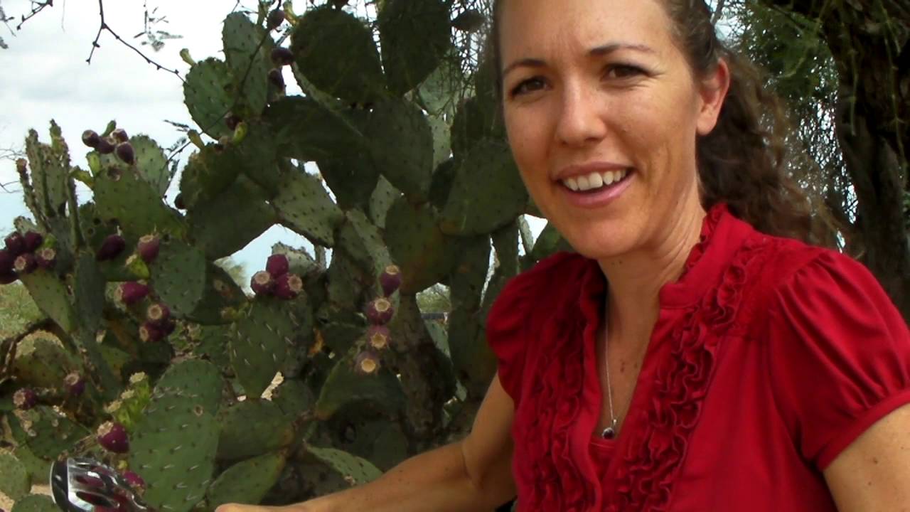 Prickly Pear Juice