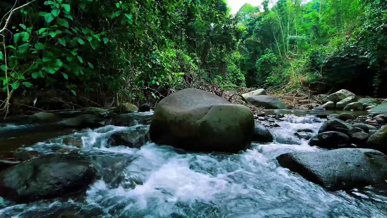 Calming River Sounds for Deep Sleep 💧 Relaxing Water Ambience for Sleeping & Study