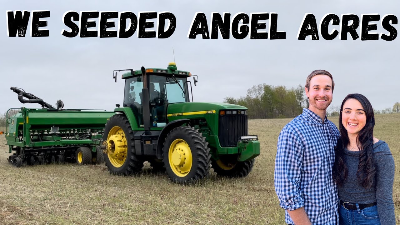 Seeding diverse grass for lamb! Using a No-Till Drill to seed Angel Acres