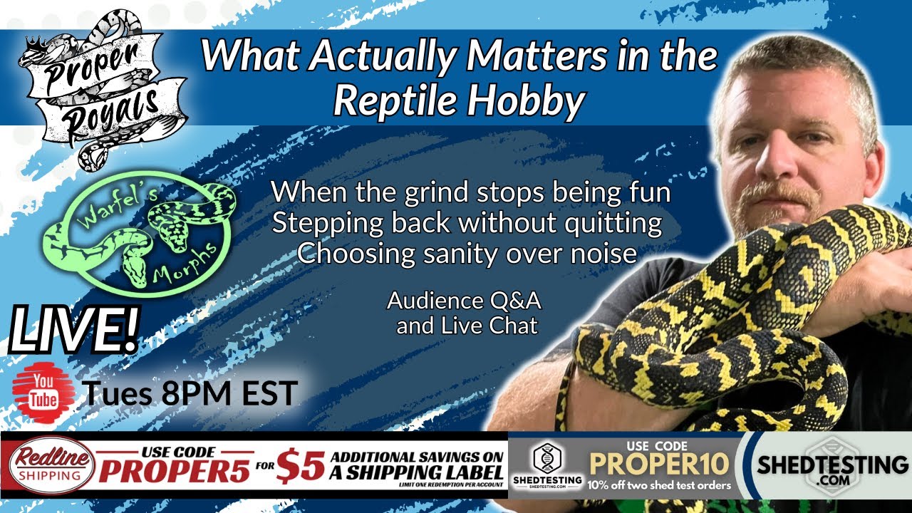 What Actually Matters in the Reptile Hobby