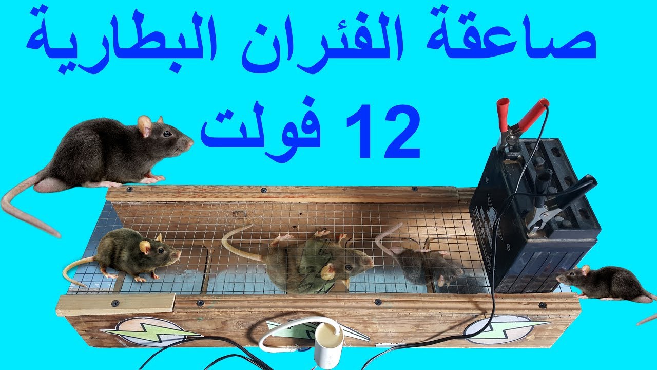 صاعقة الفئران الكهربائية بتيار البطارية 12 فولت وداعا للفئران دفعة واحدة