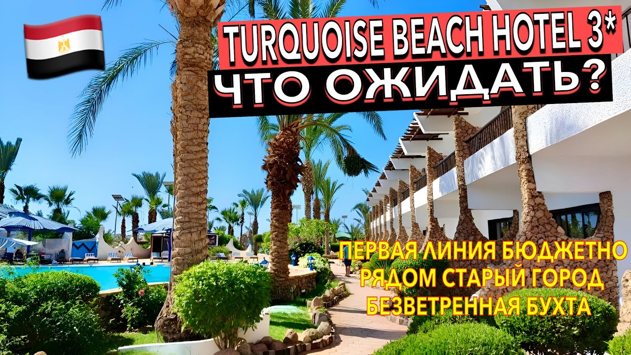 Египет 🇪🇬 Turquoise Beach Hotel 3*. САМАЯ БЕЗВЕТРЕННАЯ БУХТА. Бюджетно первая линия. Шарм Эль Шейхе